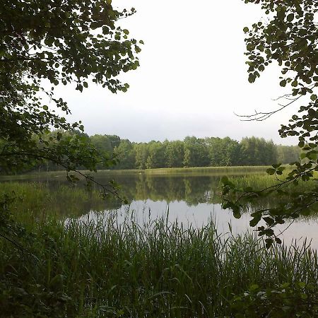 Ferienhaus Knappensee Lohsa Buitenkant foto