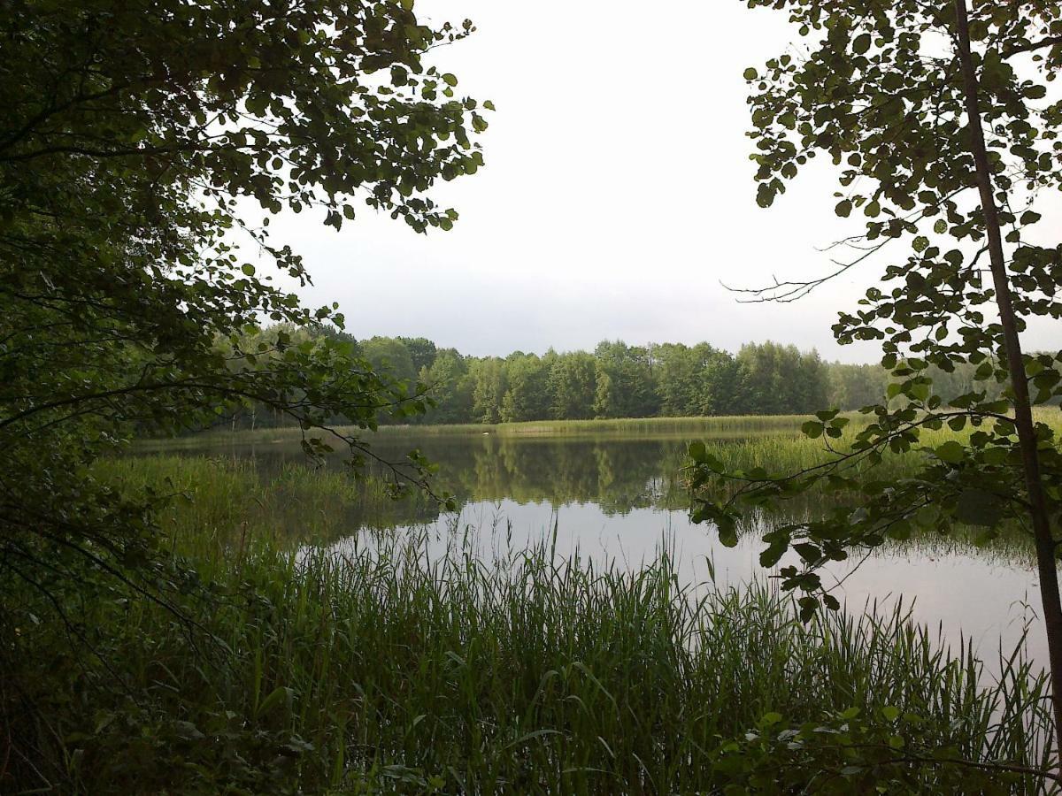 Ferienhaus Knappensee Lohsa Buitenkant foto